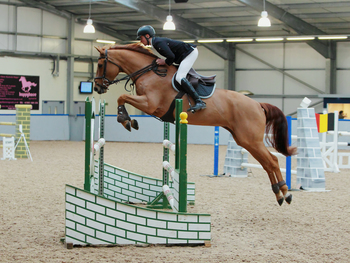 Mark Turnbull Takes the Top Spot in SEIB Winter Novice Qualifier at The Scottish National Equestrian Centre